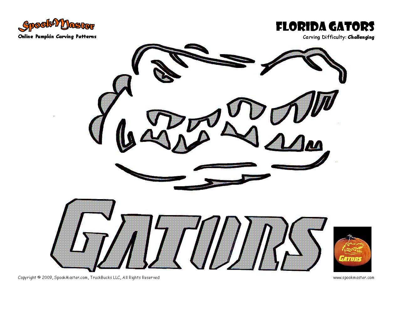 Carve A Florida Themed Pumpkin Florida Farm Bureau Insurance carve-a-florida-themed-pumpkin-florida-farm-bureau-insurance