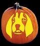 HOUND DOG PUMPKIN CARVING PATTERN