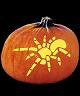 TARANTULA PUMPKIN CARVING PATTERN