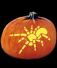 SPOOKMASTER TARANTULA SPIDER PUMPKIN CARVING PATTERN