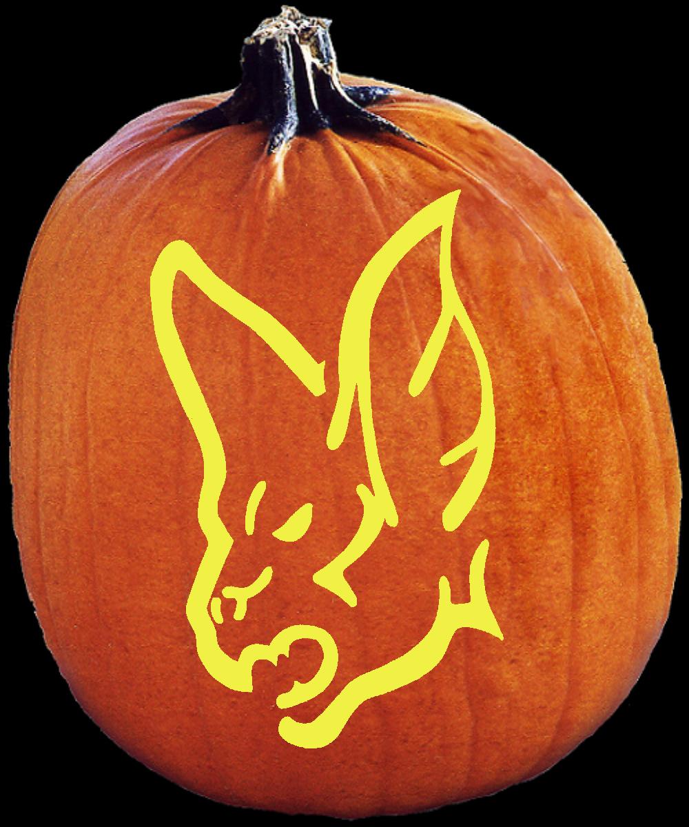 SpookMaster Online Pumpkin Carving Patterns Media Information